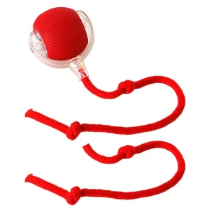 Interactive Rolling Ball Cat Toy