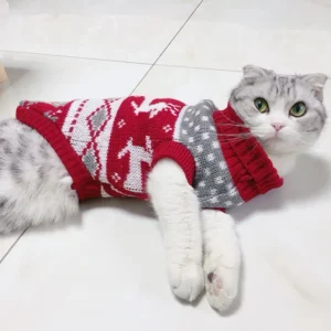 Christmas Cat Sweater Winter Outfit