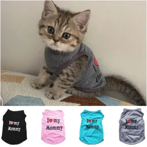Cute Cat Vest Spring Outfit