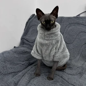 Warm Velvet Cat Sweater